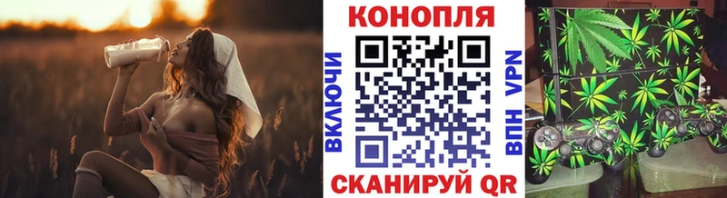 Как найти закладки Курчатов Кокаин  СК  Гашиш 