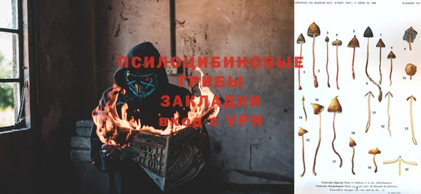 mdpv Кулебаки