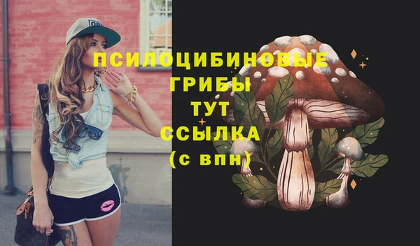 альфа пвп Коряжма