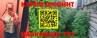 дживик Донской