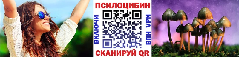 кракен онион  darknet телеграм  Курчатов  Галлюциногенные грибы Magic Shrooms  даркнет сайт 