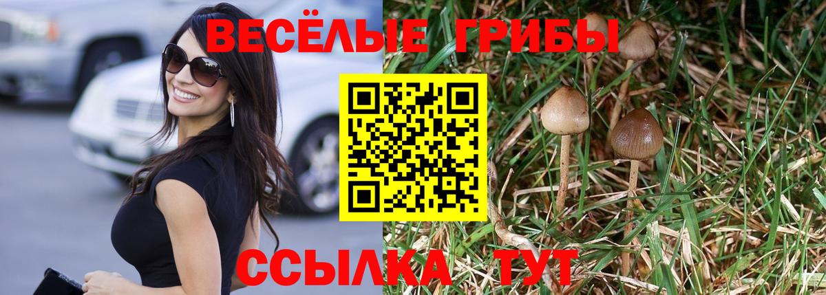 Курчатов  Галлюциногенные грибы Cubensis  Вход с VPN  Галлюциногенные грибы Psilocybe 