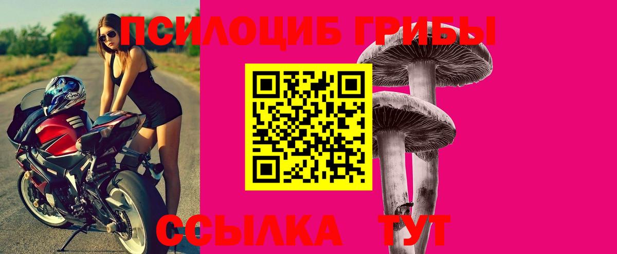 Галлюциногенные грибы Magic Shrooms Курчатов