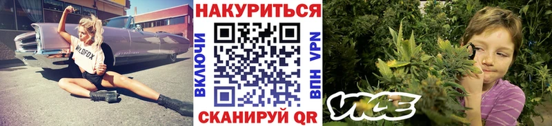 Конопля марихуана  Курчатов 